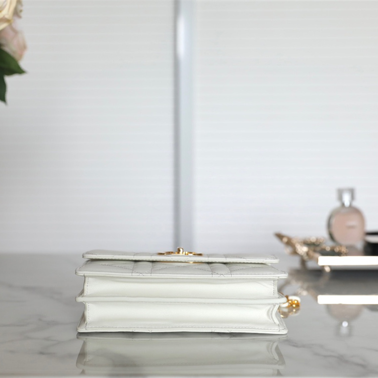 高仿Dior手袋MissCaro系列白色免檢版 - Image 5