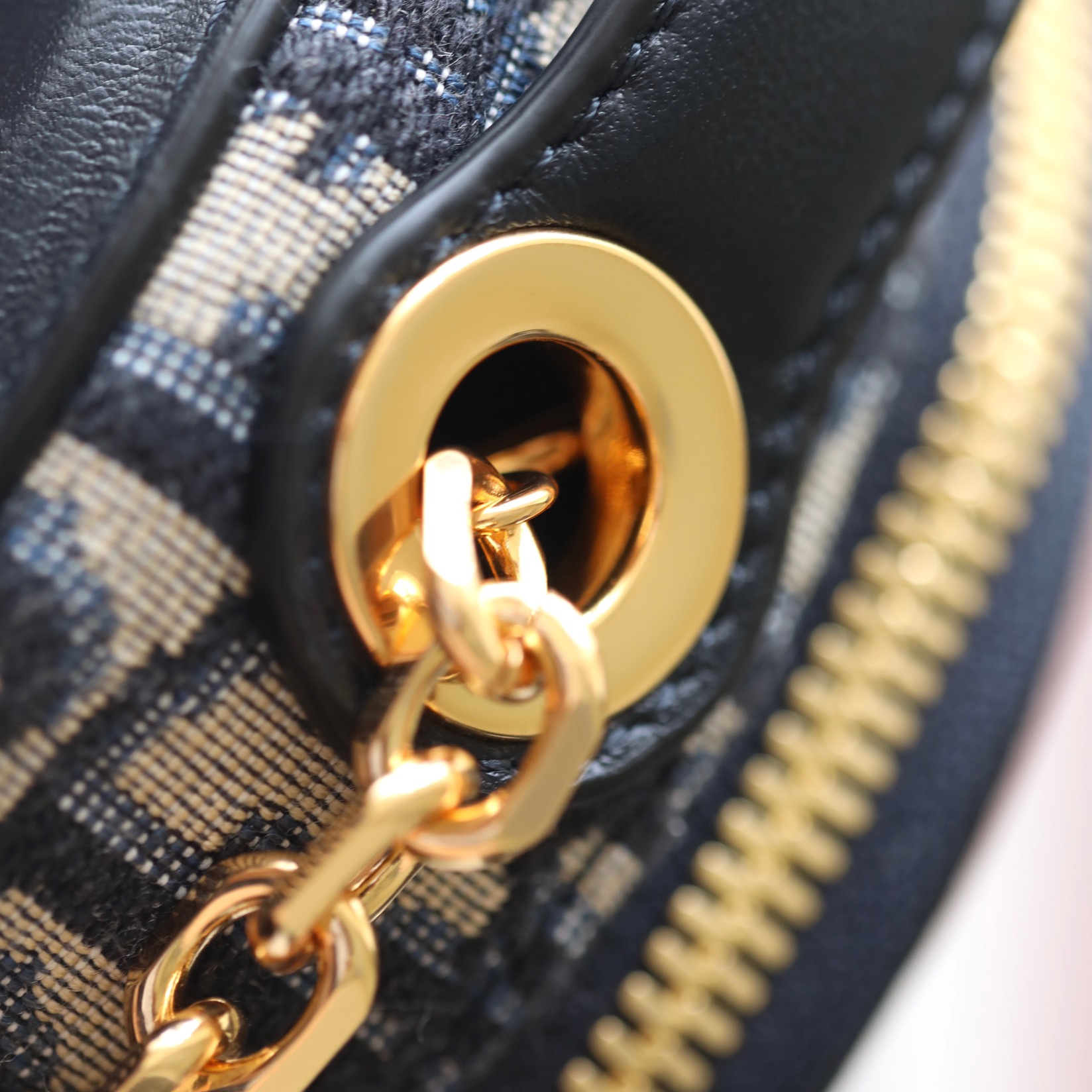 高仿DiorSignature系列CD橢圓形相機包免檢版 - Image 14